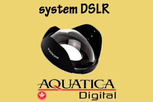 system DSLR / MIL